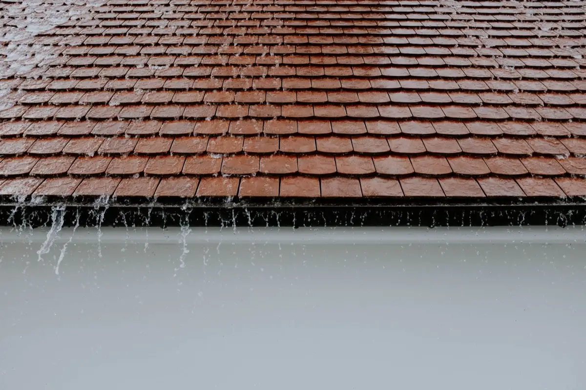 Gutters & Downspouts in Fort Collins, CO